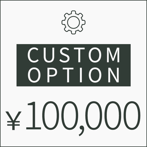 追加カスタム・オプション料金（￥100,000）